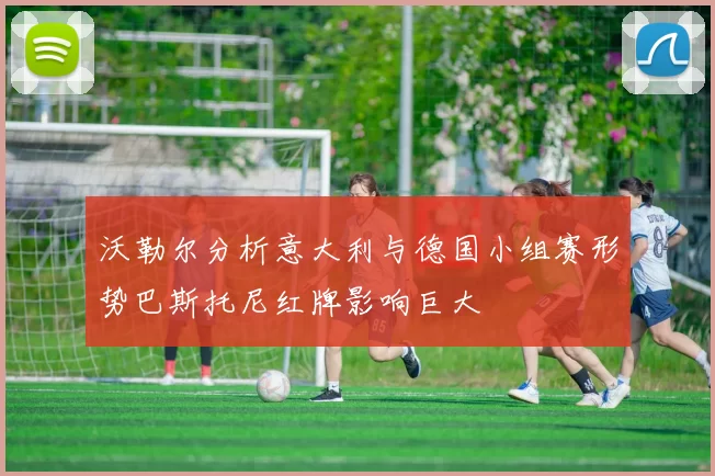 沃勒尔分析意大利与德国小组赛形势巴斯托尼红牌影响巨大