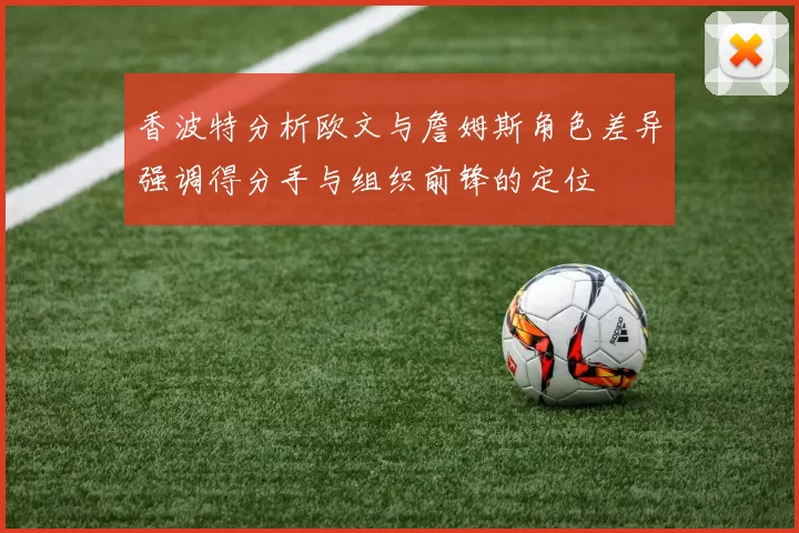 香波特分析欧文与詹姆斯角色差异强调得分手与组织前锋的定位